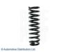 TOYOT 481316B020 Coil Spring
